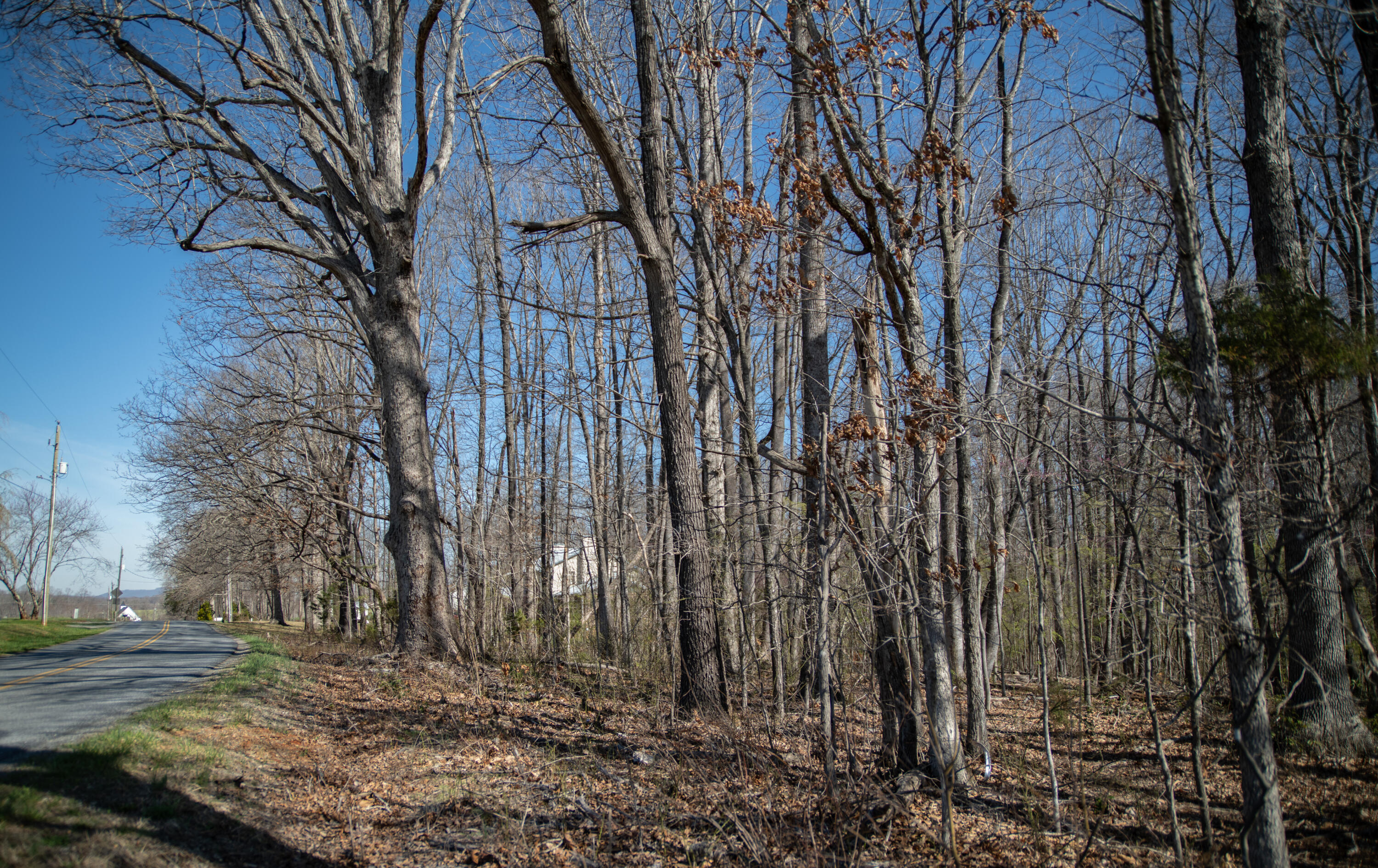 0 Morgans Church Road Bedford, VA 24523 - Photo 2 of 4 Wooded lot
