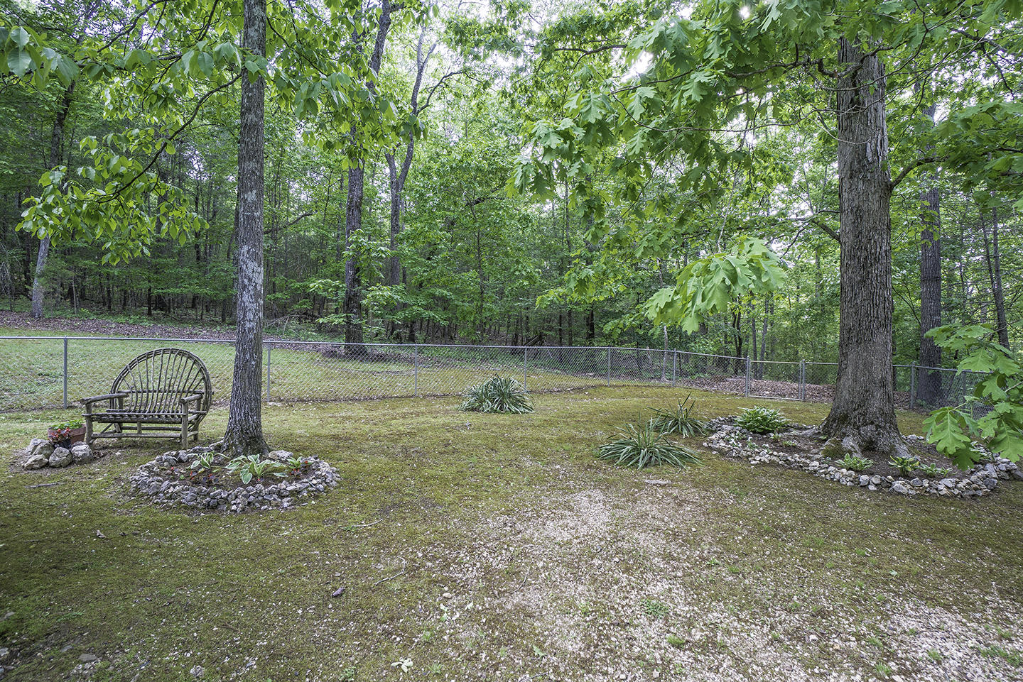 6910 Igou Ferry Road Harrison, TN 37341 - Photo 9 of 48 Backyard 1