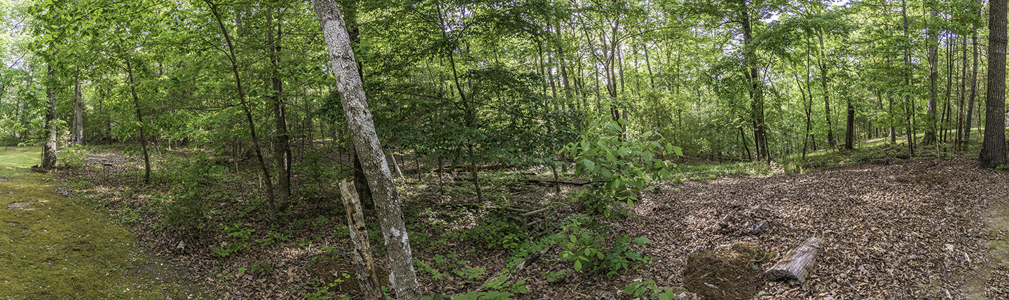 6910 Igou Ferry Road Harrison, TN 37341 - Photo 10 of 48 Backyard Panorama