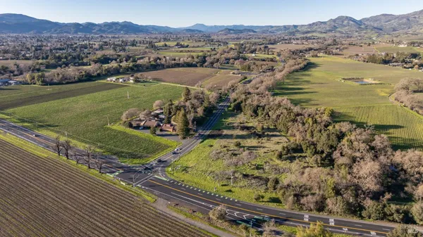 a view of a garden with plants