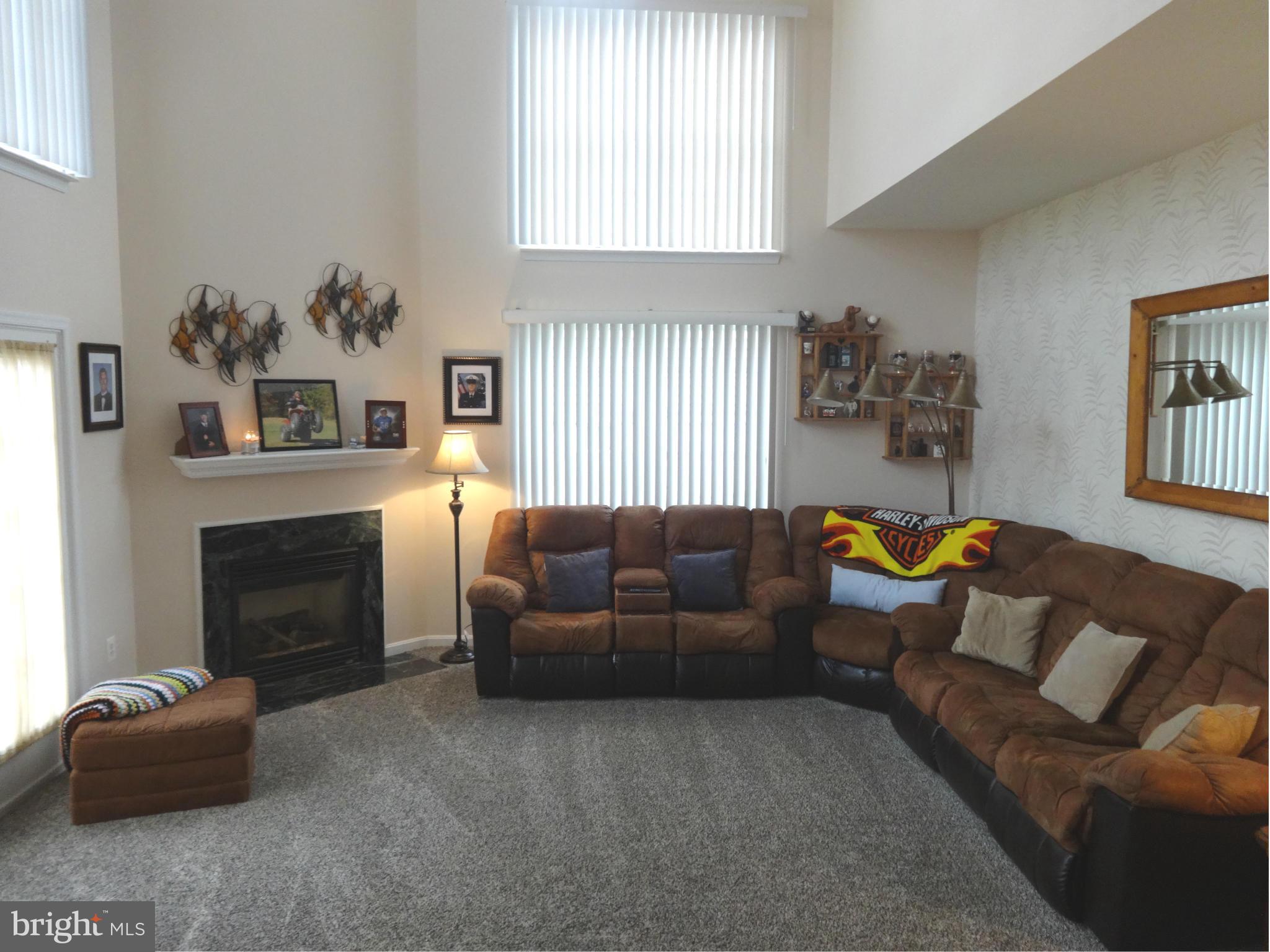 474 Blossom Tree Road Culpeper, VA 22701 - Photo 9 of 29 Family Room