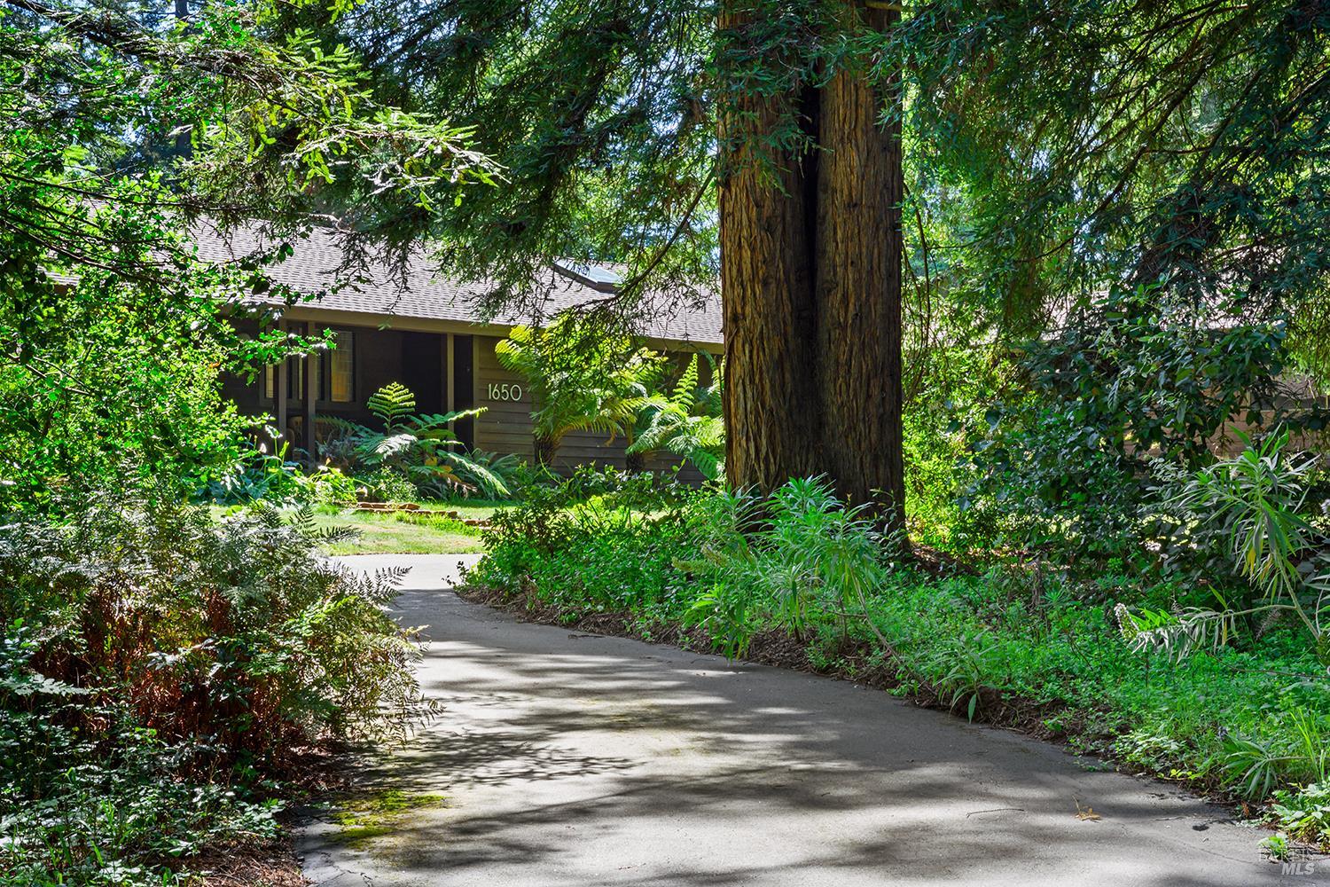 1650 Jonive Road Sebastopol, CA 95472 - Photo 2 of 89