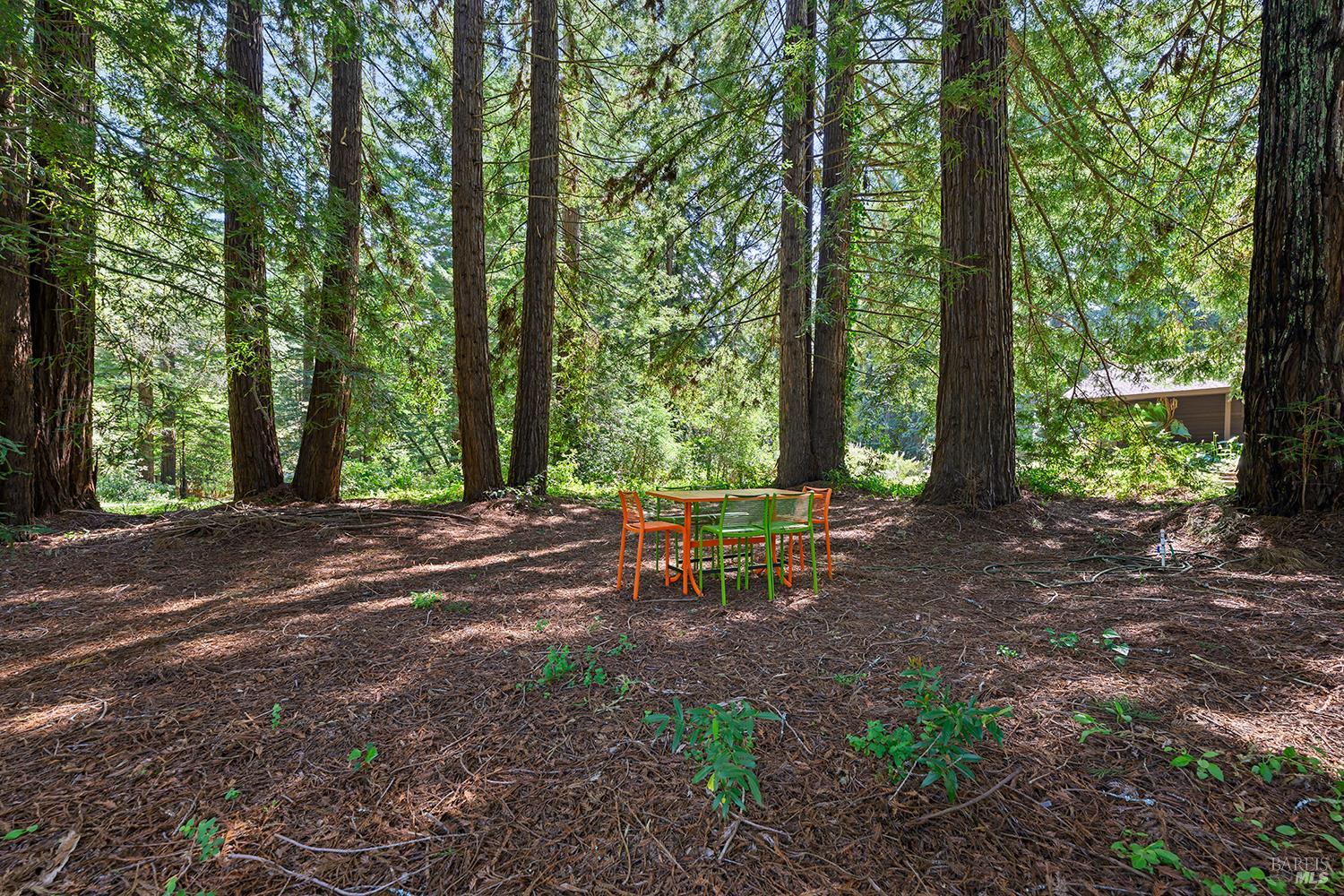 1650 Jonive Road Sebastopol, CA 95472 - Photo 59 of 89