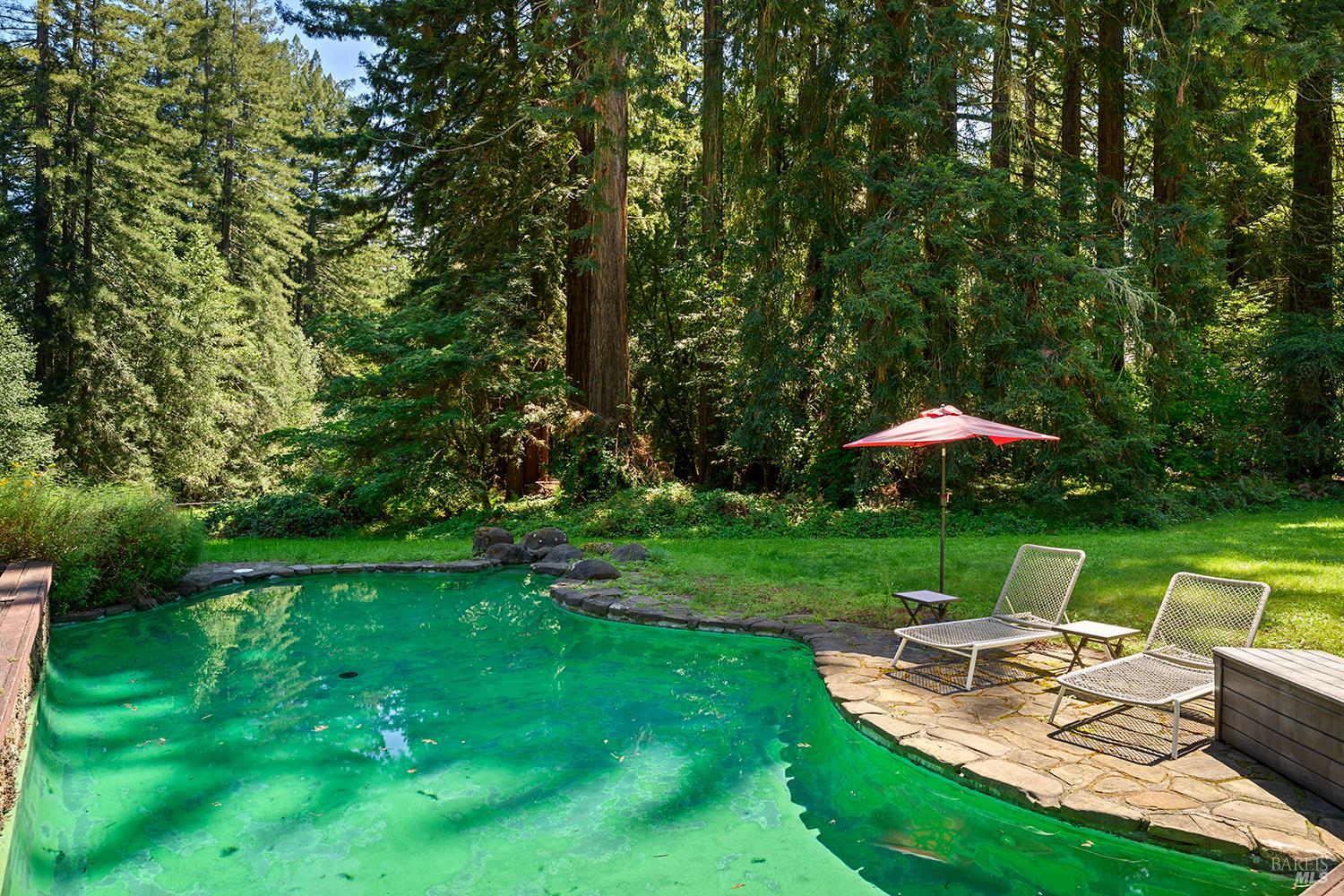 1650 Jonive Road Sebastopol, CA 95472 - Photo 64 of 89