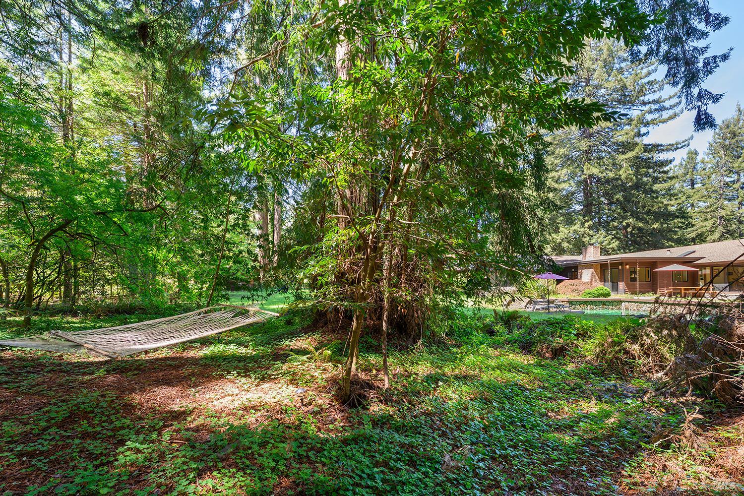 1650 Jonive Road Sebastopol, CA 95472 - Photo 76 of 89