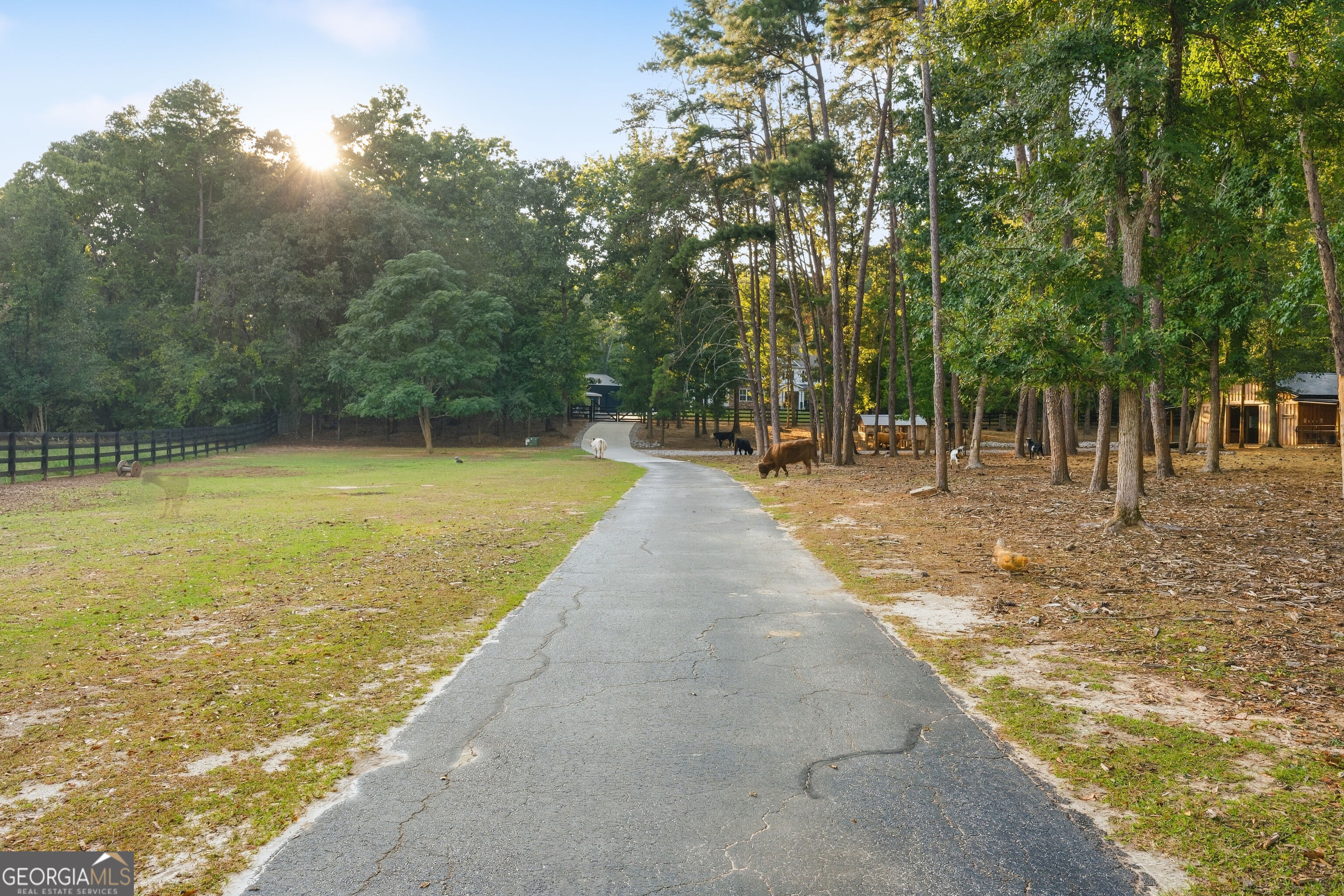 513 Bankstown Road Brooks, GA 30205 - Photo 54 of 56 Gallery Image 54