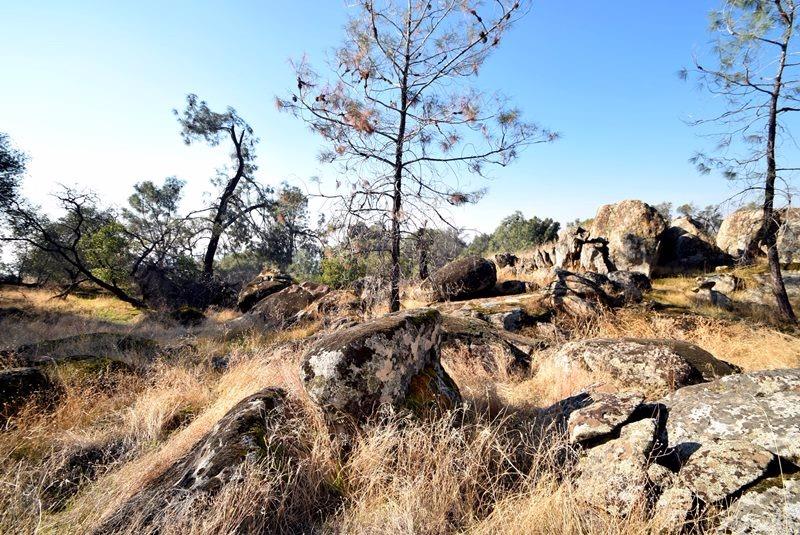 0 Whispering Spring Prather, CA 93651 - Photo 14 of 18 Gallery Image 14
