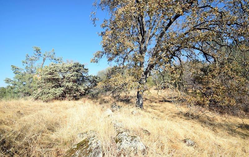 0 Whispering Spring Prather, CA 93651 - Photo 8 of 18 Gallery Image 8
