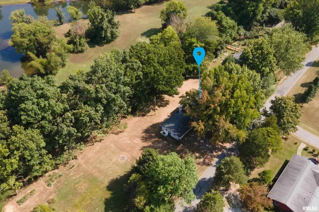 a view of a street with lots of bushes