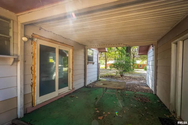 a view of a bunch of flowers in a garden