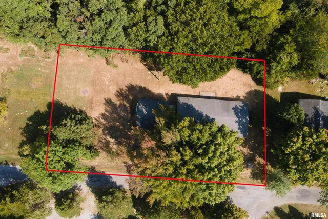 a view of grapes plant