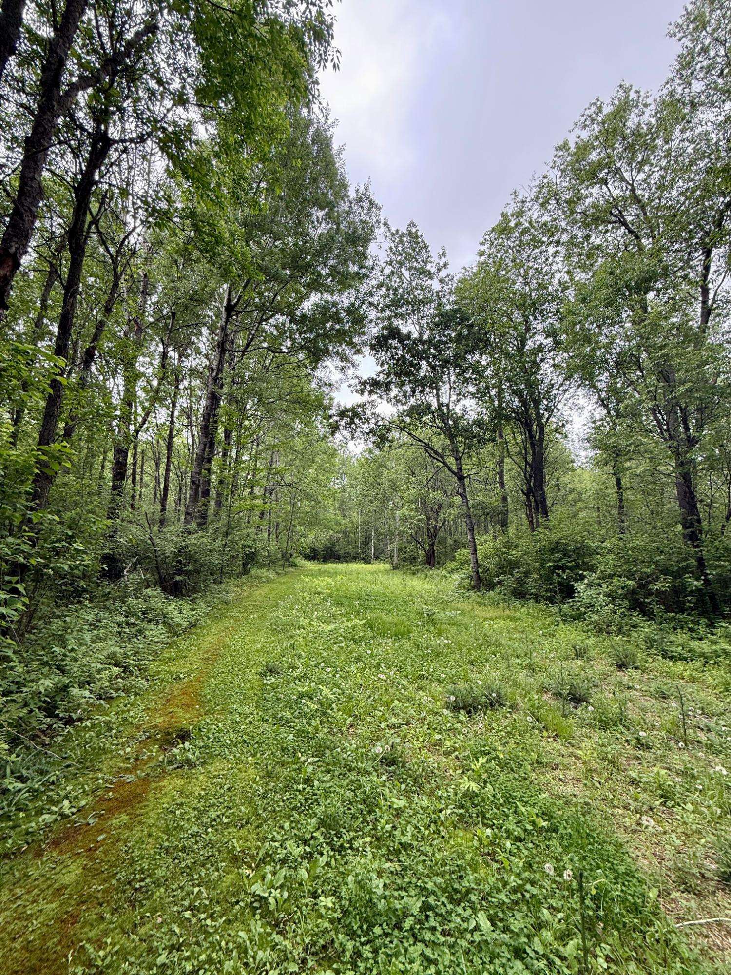 10543 Pat Phalen Road Crandon, WI 54520 - Photo 58 of 60