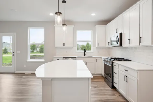 $522,990 | 15024 Ashtown Lane, Rosemount, MN 55068