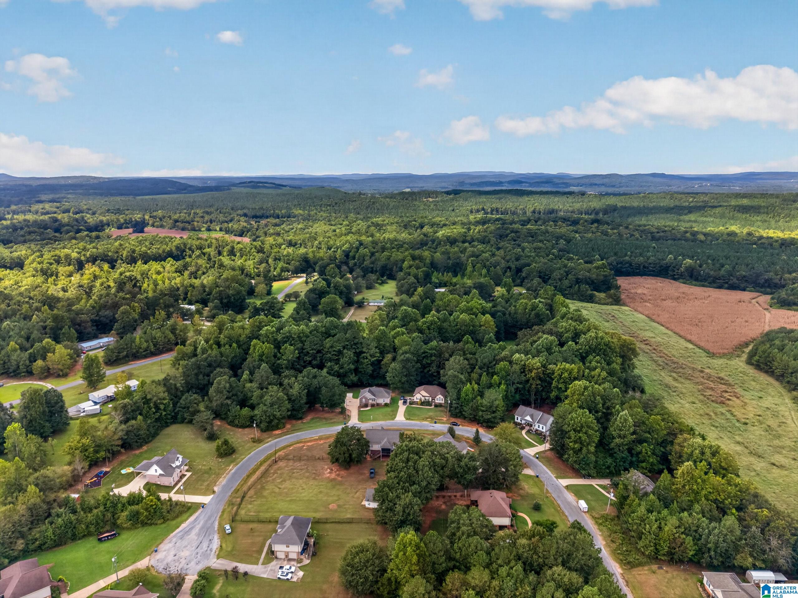 120 Trapper's Way Springville, AL 35146 - Photo 57 of 58 Gallery Image 57