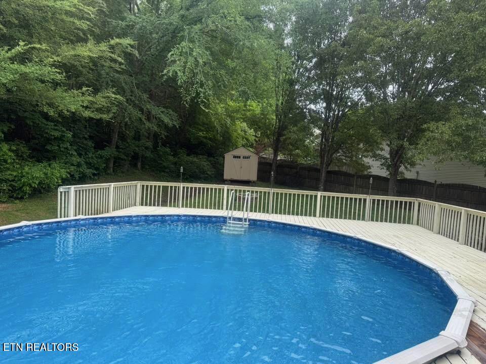 5301 Azinger Lane Corryton, TN 37721 - Photo 38 of 43 Azinger Pool