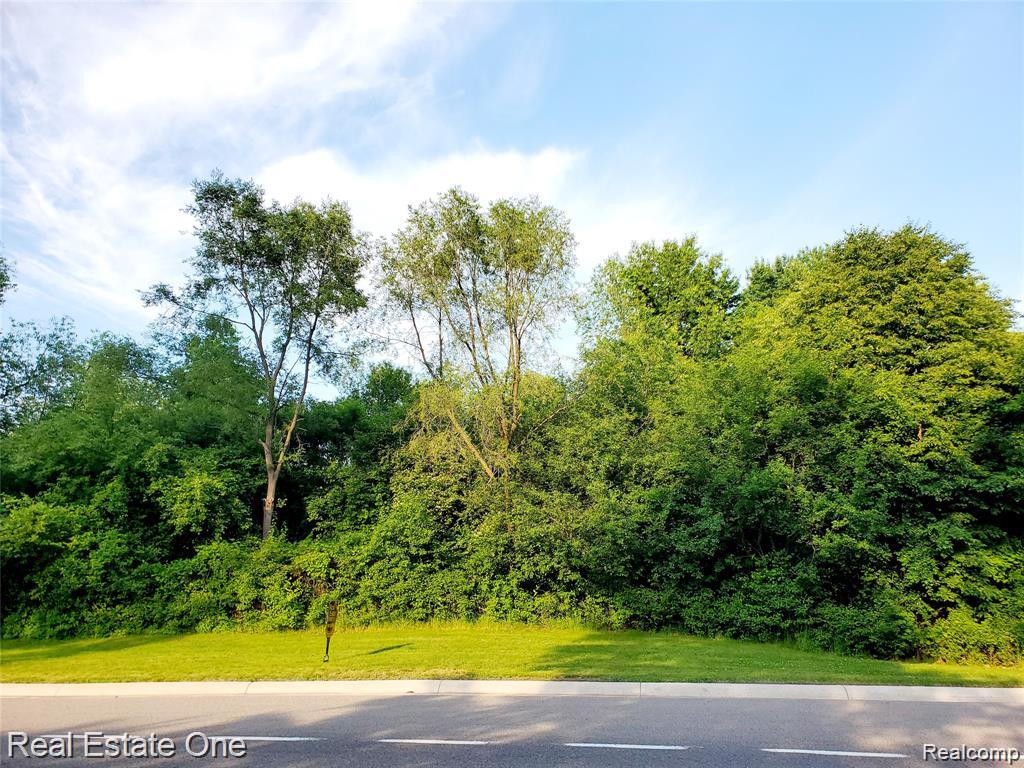 0 Adams Road Troy, MI 48098 - Photo 1 of 1 GetMedia.jpeg
