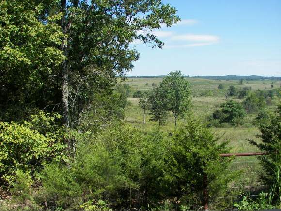 Rozell Road Protem, MO 65733 - Photo 1 of 1 Primary Photo