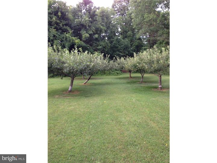 507 Dublin Road Perkasie, PA 18944 - Photo 19 of 25 Garden