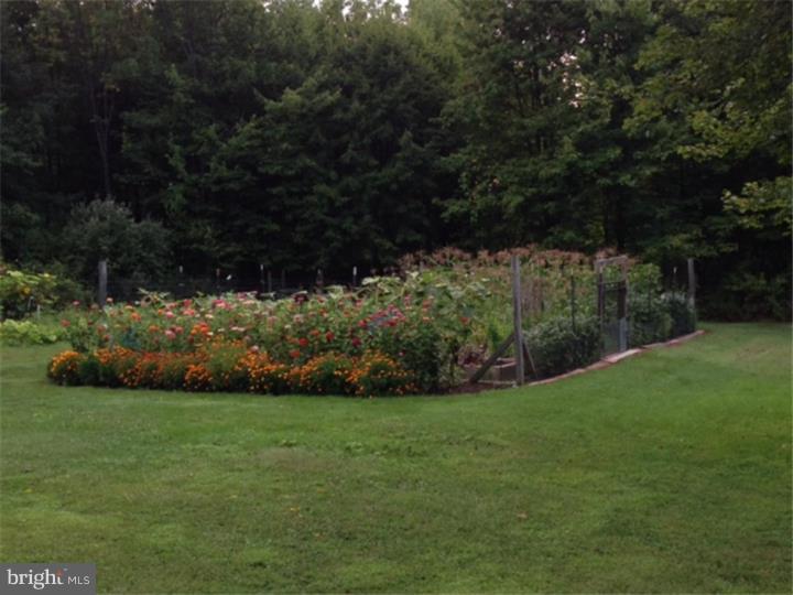507 Dublin Road Perkasie, PA 18944 - Photo 20 of 25 Garden