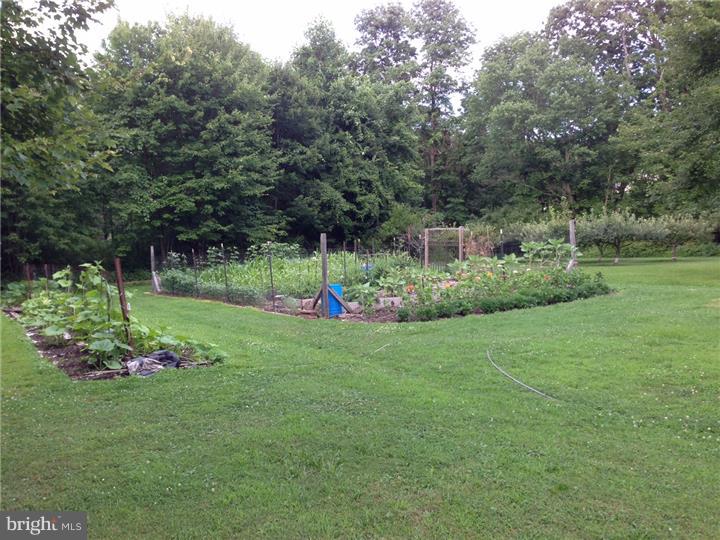 507 Dublin Road Perkasie, PA 18944 - Photo 22 of 25 Garden