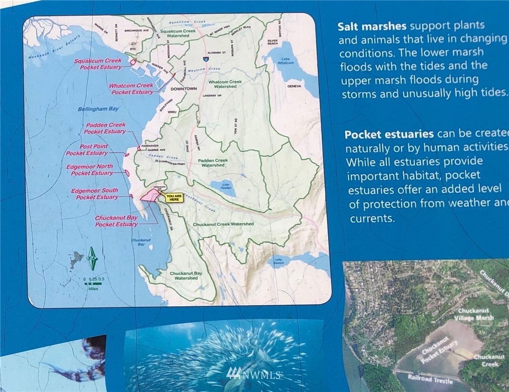 132 Viewcrest Road Bellingham, WA 98229 - Photo 33 of 40