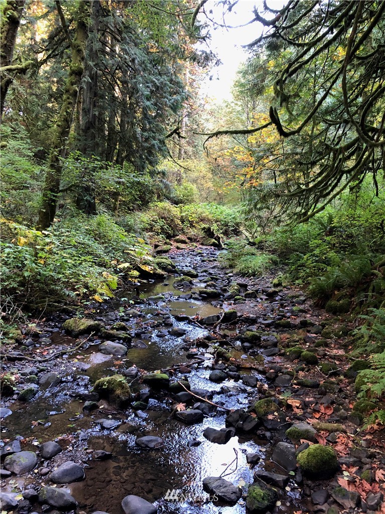 132 Viewcrest Road Bellingham, WA 98229 - Photo 38 of 40