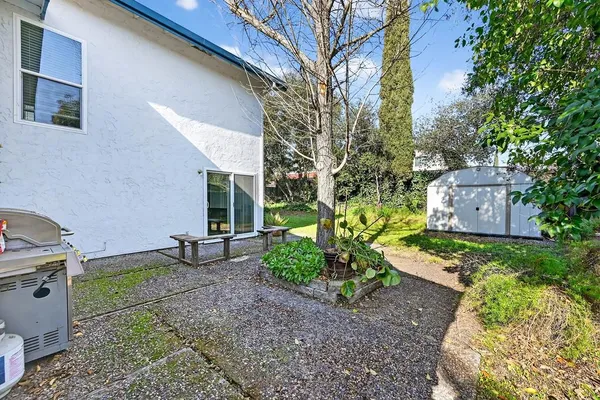 a view of outdoor space yard and tree