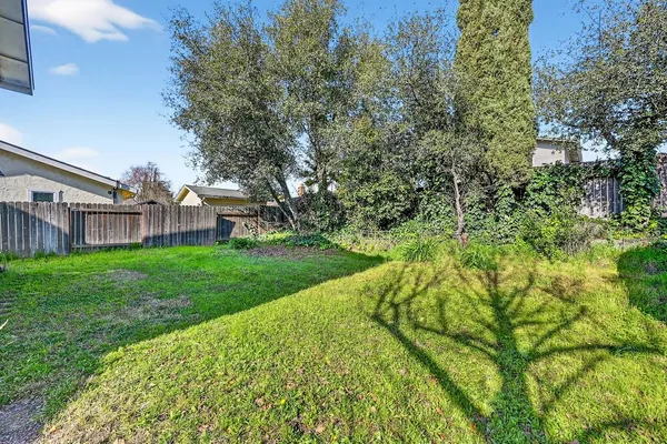 a view of a house with a yard and a large tree