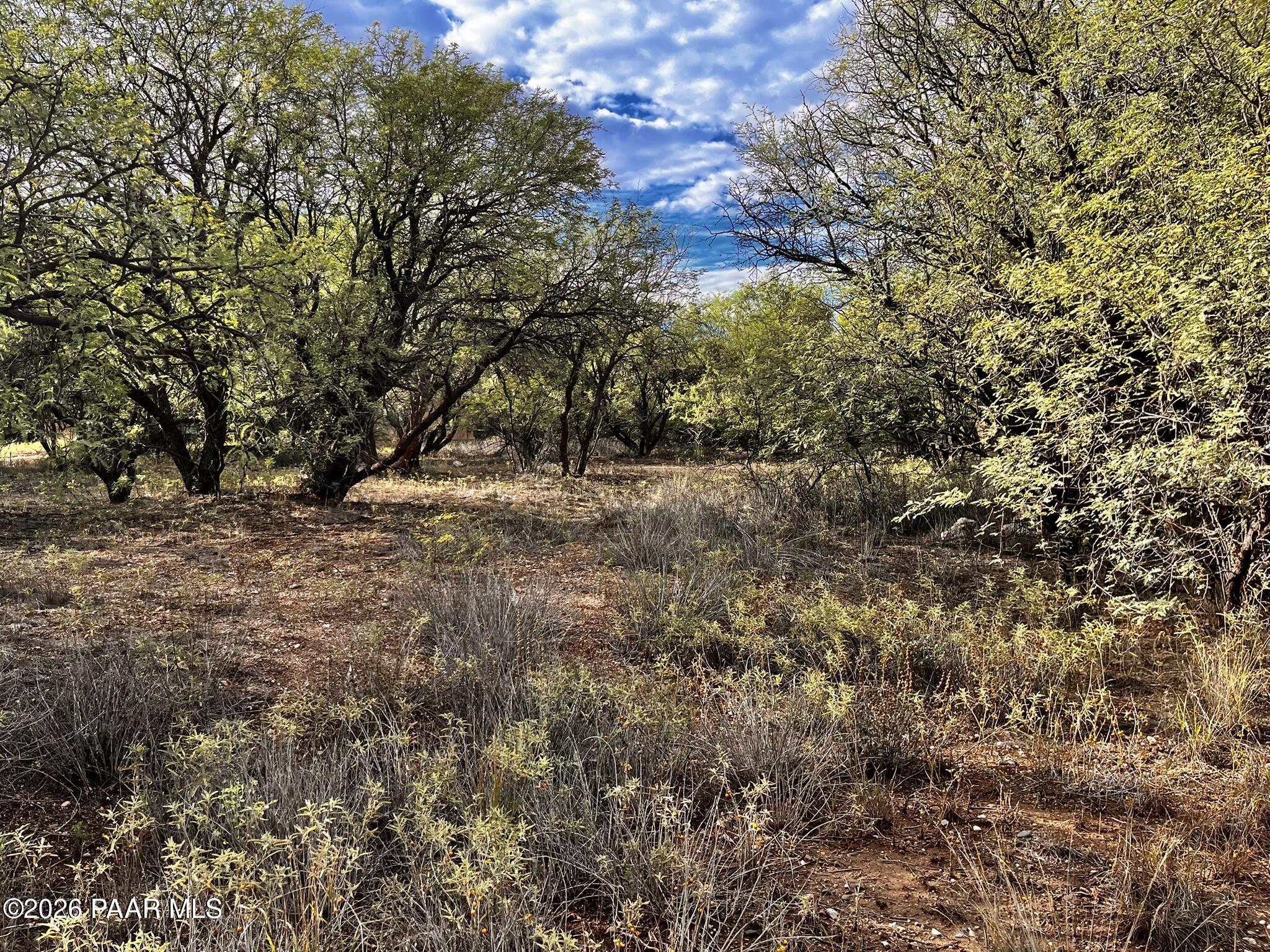 4755 East Lynn Court Lake Montezuma, AZ 86335 - Photo 29 of 36 a view of a yard with a tree