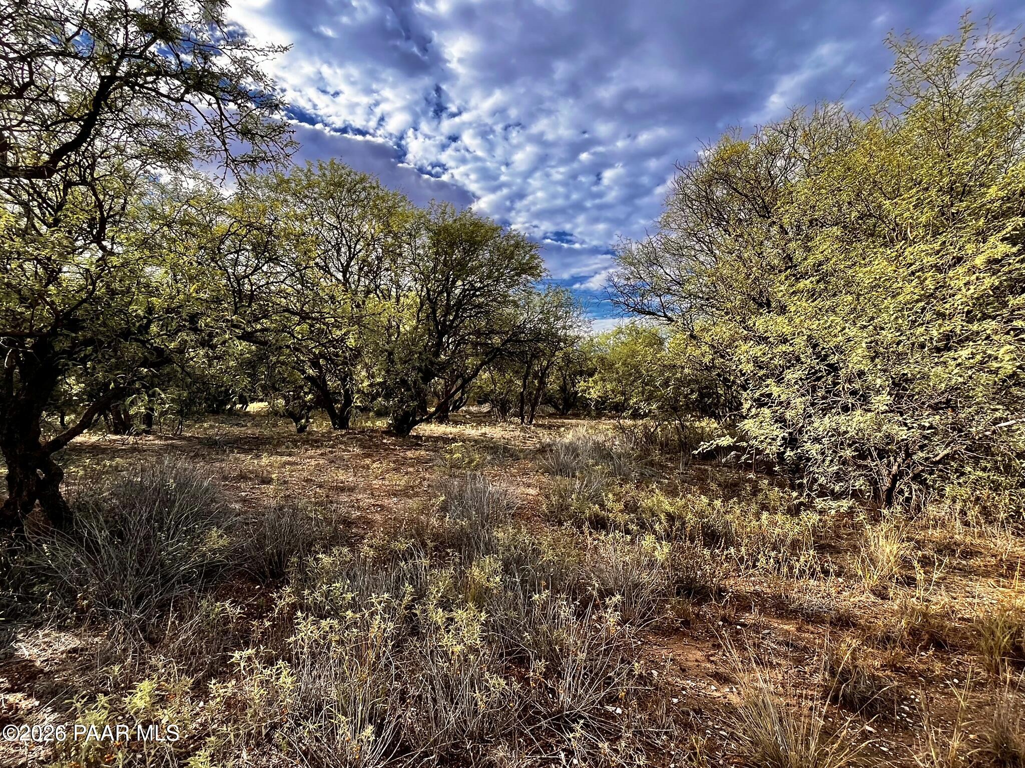4755 East Lynn Court Lake Montezuma, AZ 86335 - Photo 30 of 36 a view of outdoor space and trees