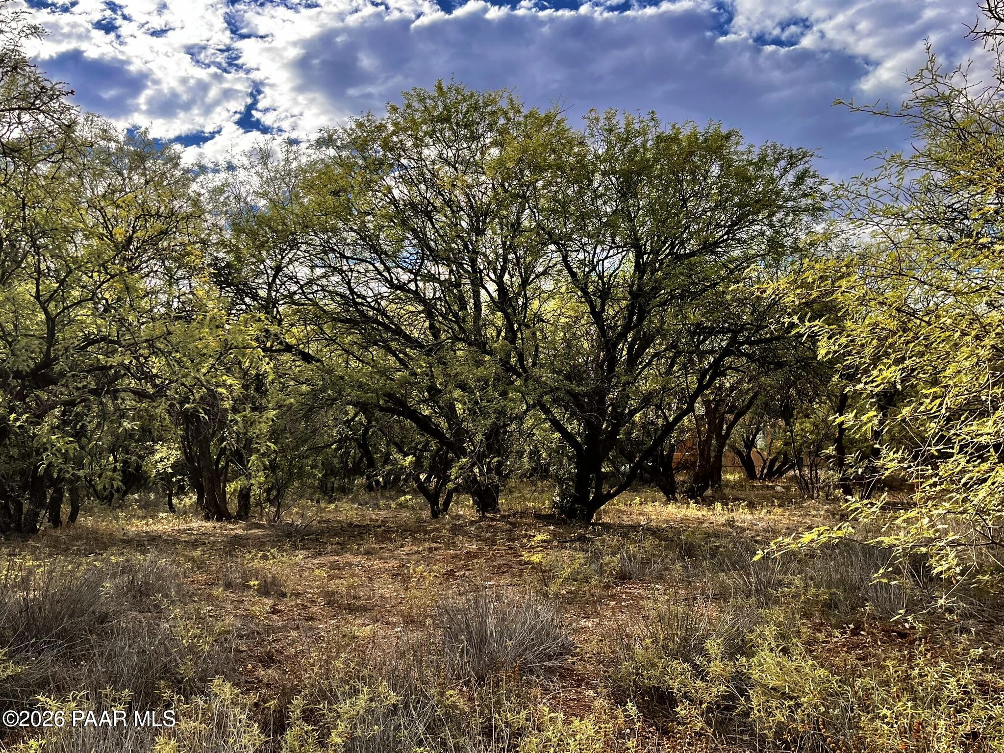 4755 East Lynn Court Lake Montezuma, AZ 86335 - Photo 31 of 36 a view of outdoor space and yard