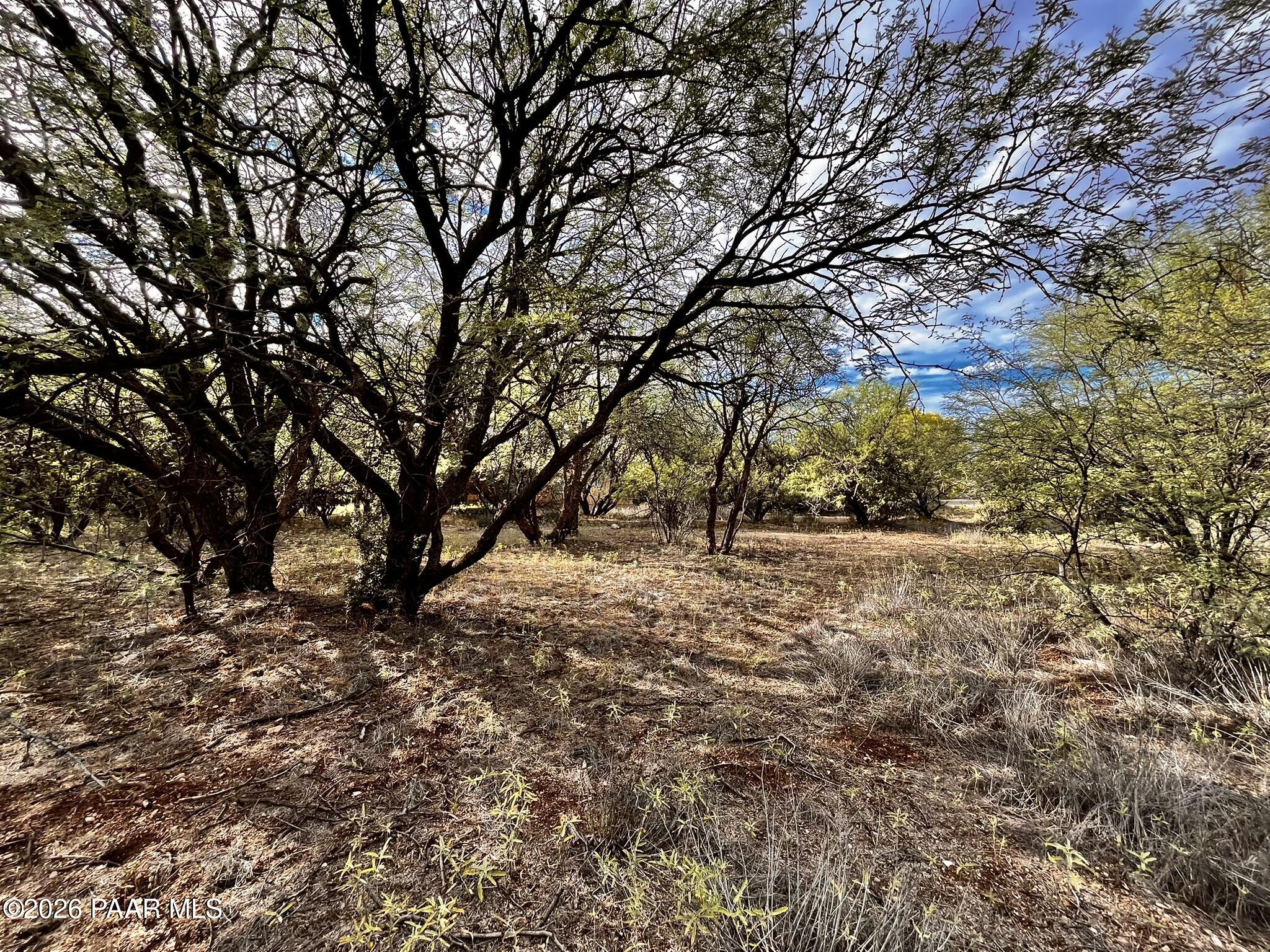 4755 East Lynn Court Lake Montezuma, AZ 86335 - Photo 32 of 36 a view of large trees with yard