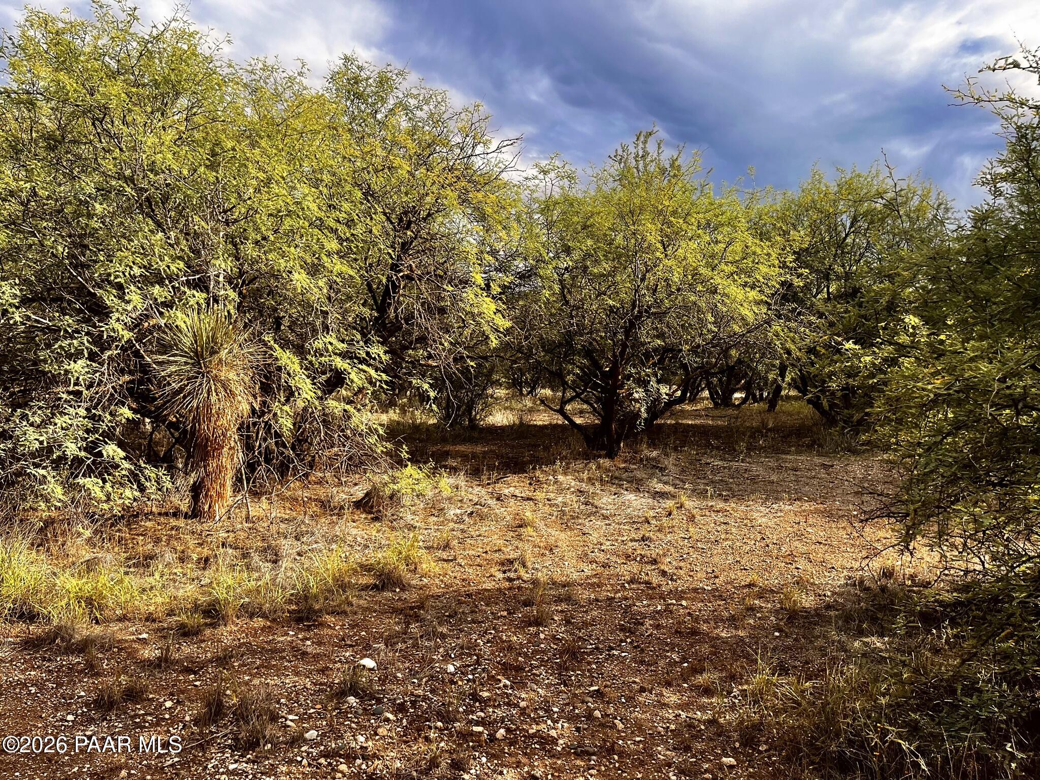 4755 East Lynn Court Lake Montezuma, AZ 86335 - Photo 34 of 36 a view of lake view