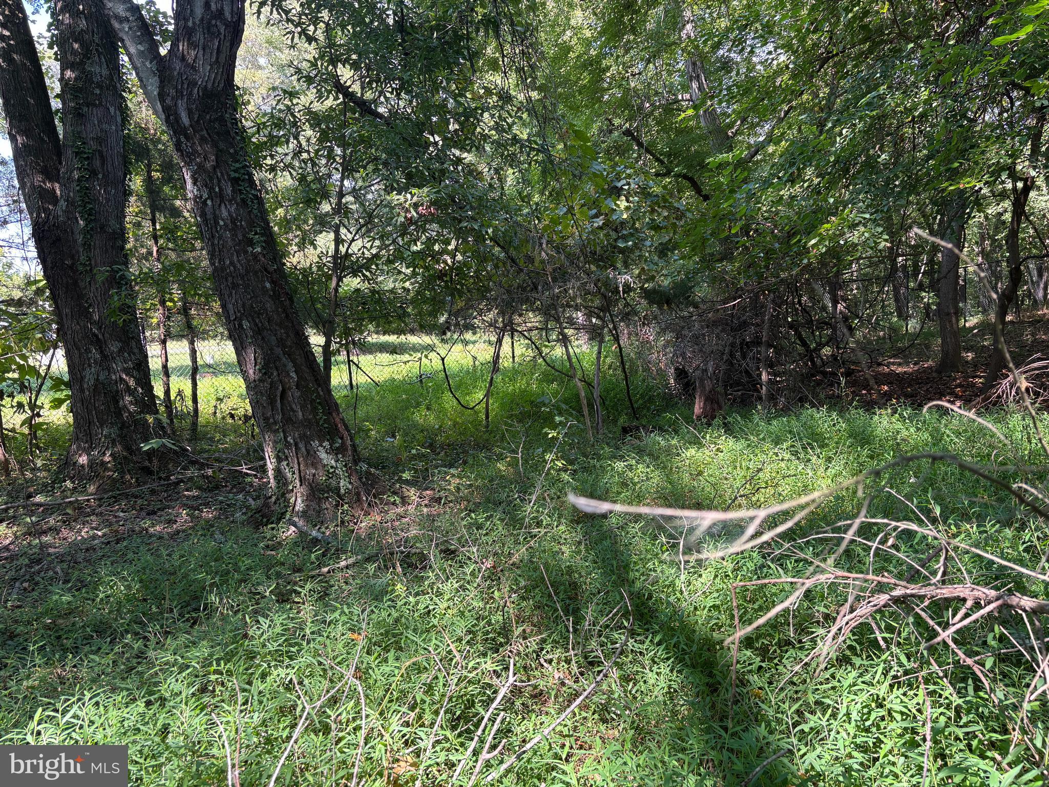 10807 Riverview Road Fort Washington, MD 20744 - Photo 2 of 6