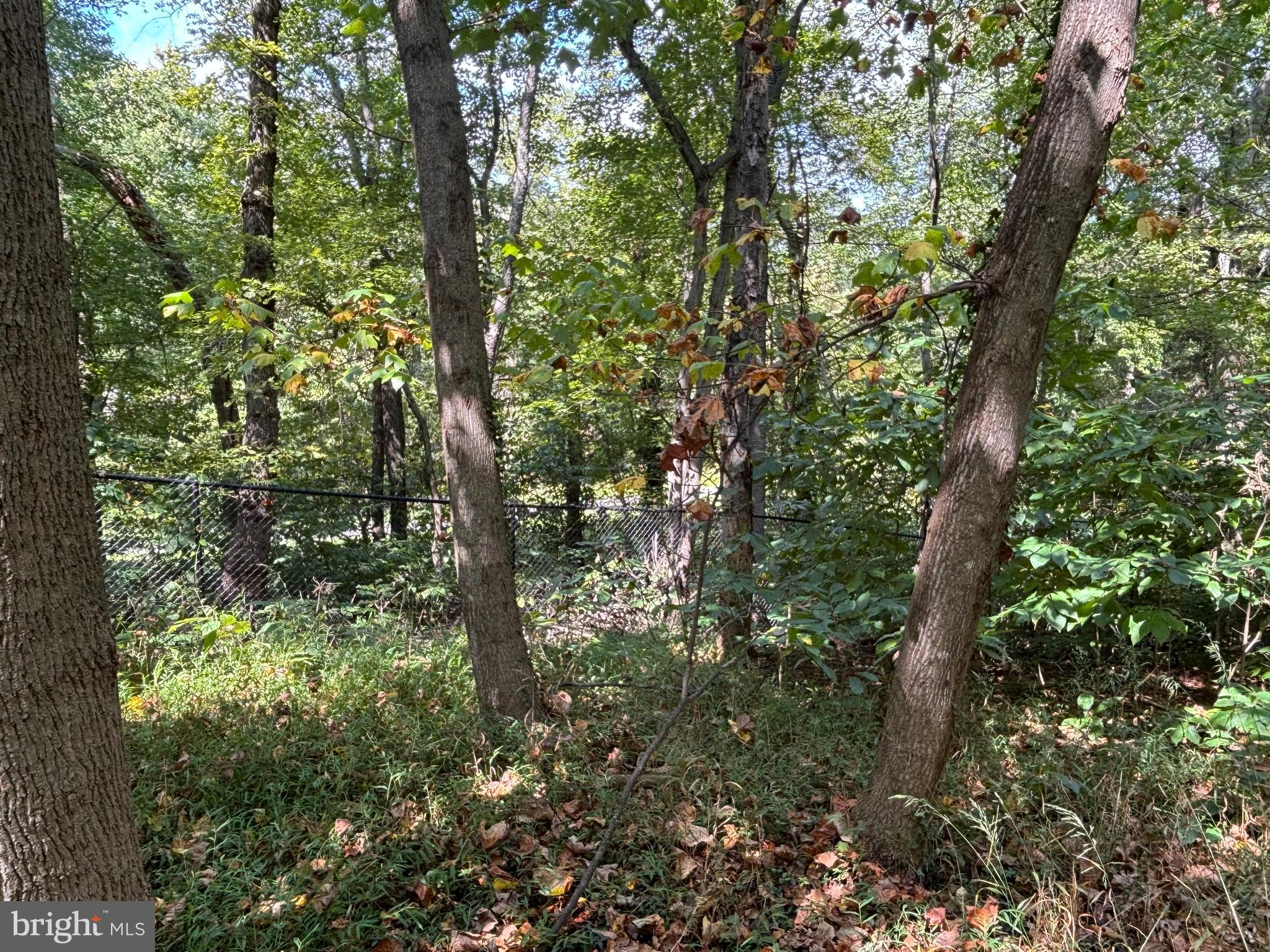 10807 Riverview Road Fort Washington, MD 20744 - Photo 3 of 6