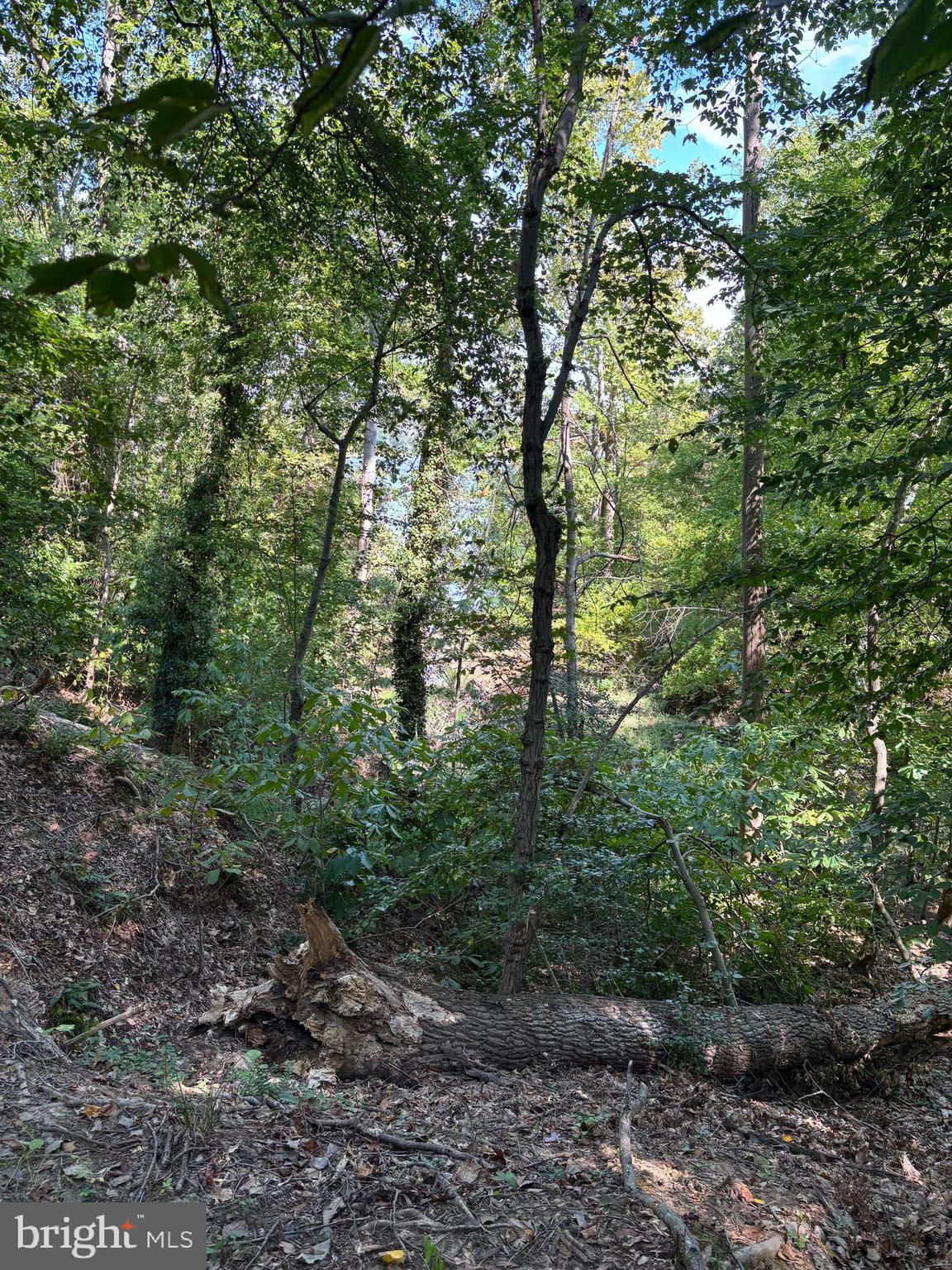 10807 Riverview Road Fort Washington, MD 20744 - Photo 5 of 6