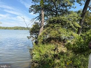 10807 Riverview Road Fort Washington, MD 20744 - Photo 5 of 27 Edge of land. Endless calm