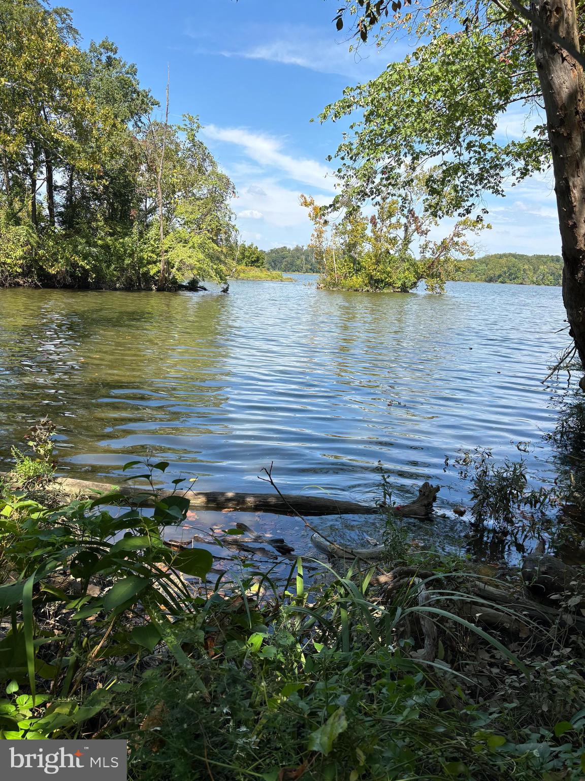 10807 Riverview Road Fort Washington, MD 20744 - Photo 6 of 6