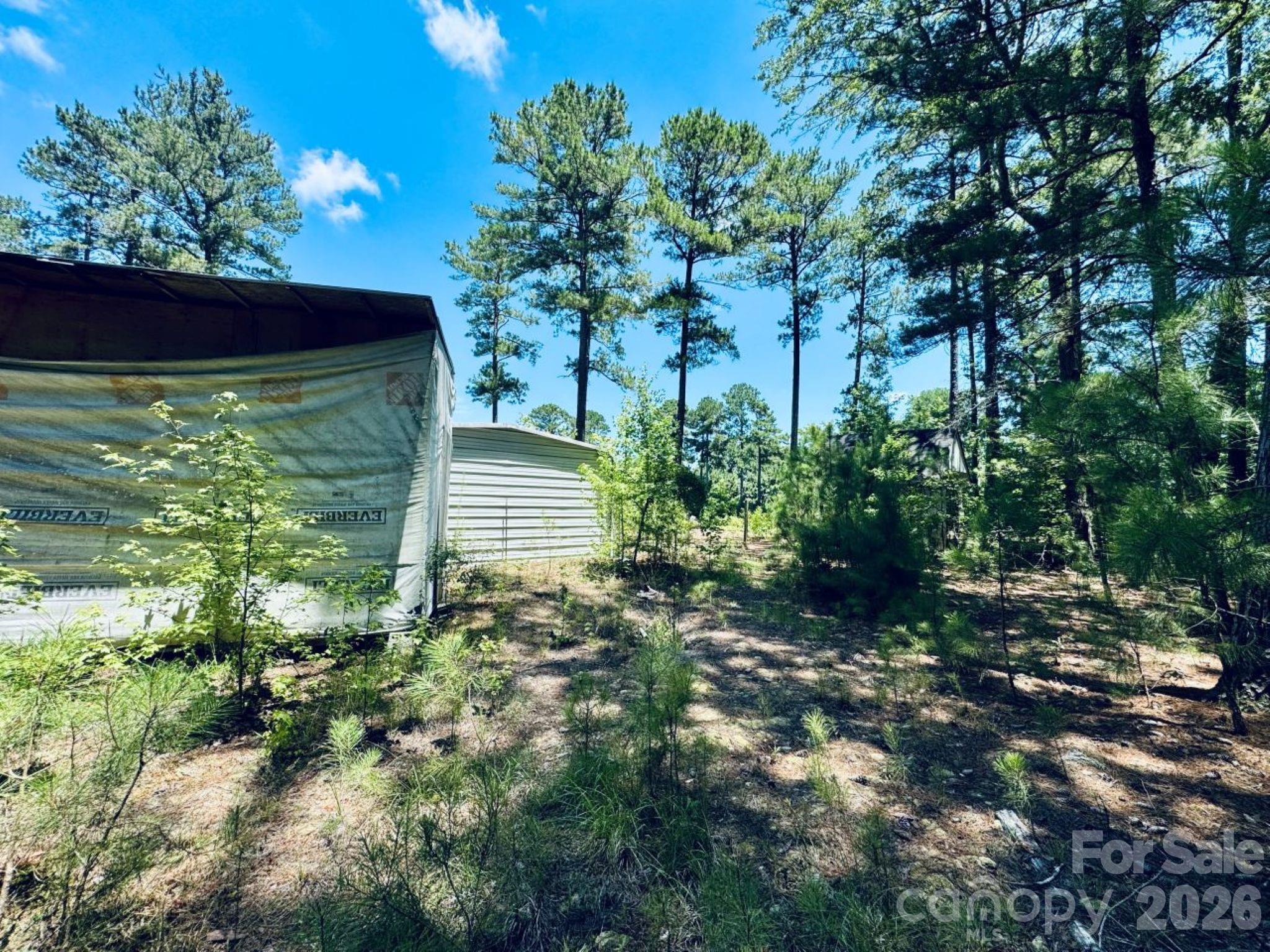 5326 Judson Road Clio, SC 29525 - Photo 19 of 29