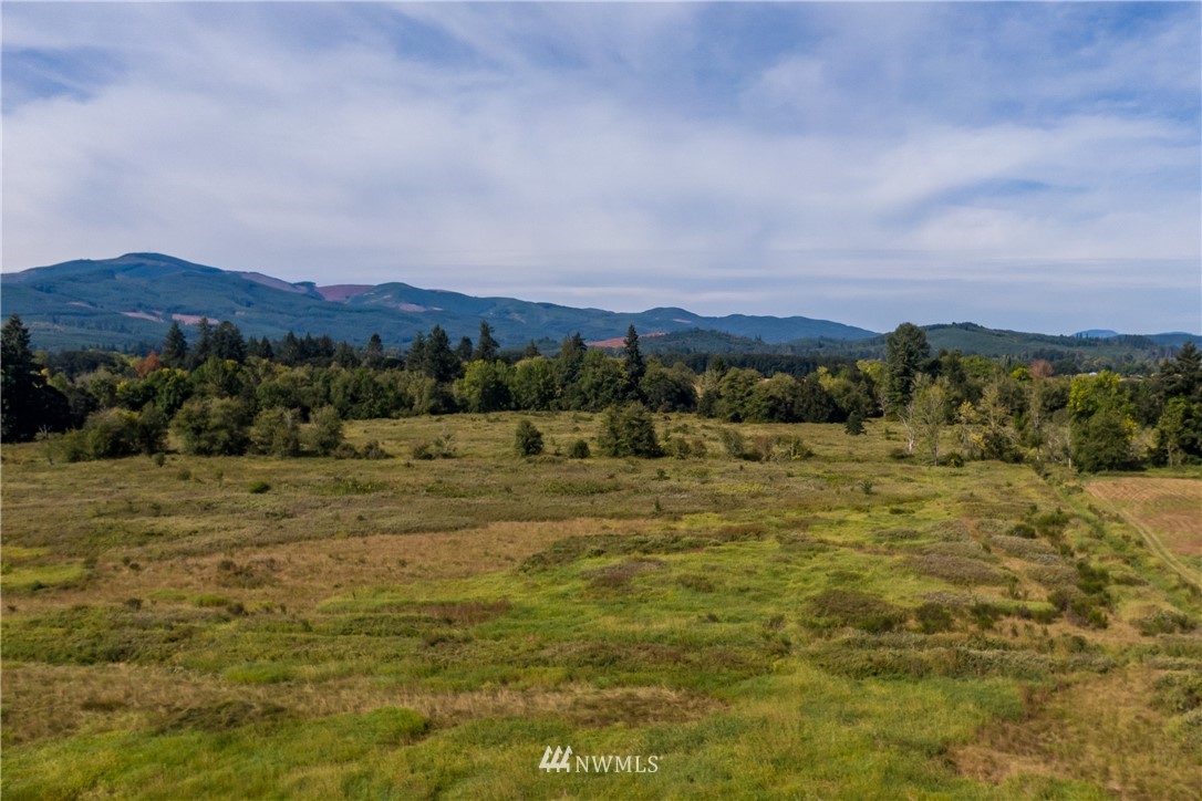 32600 Kahout Road Curtis, WA 98538 - Photo 2 of 21