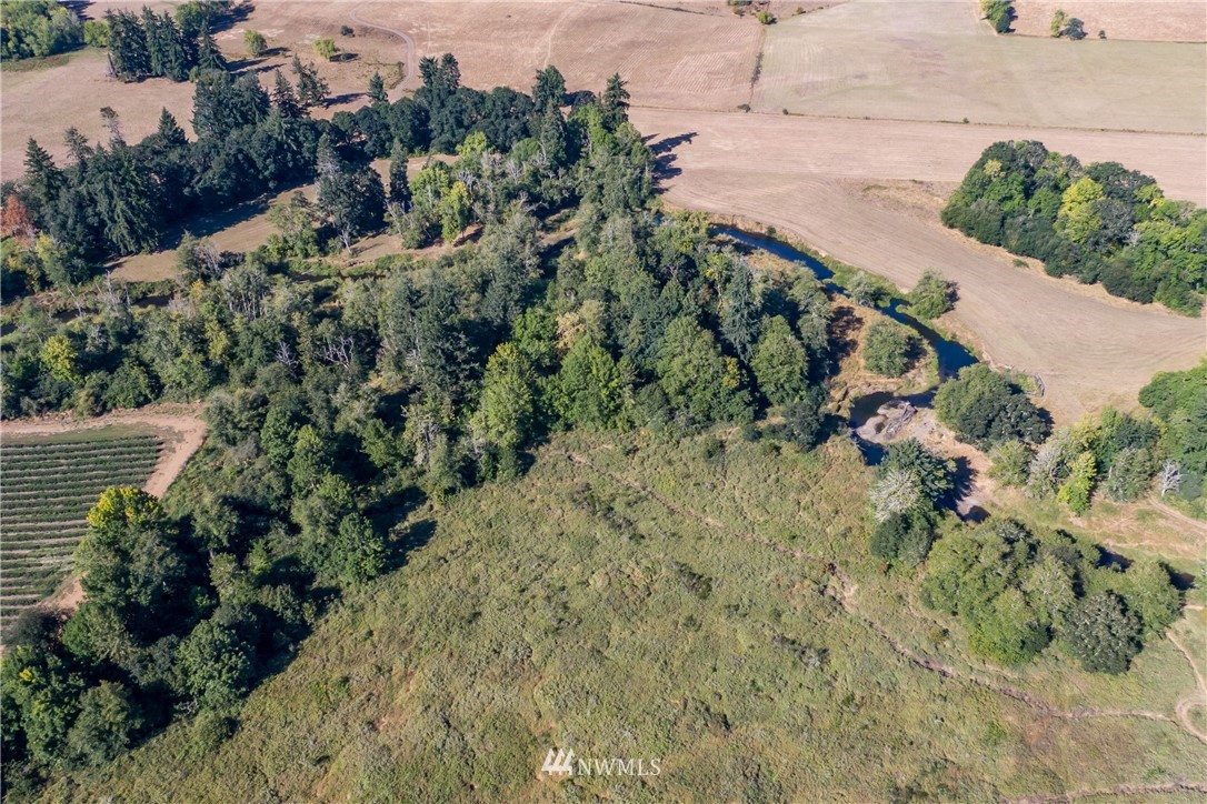 32600 Kahout Road Curtis, WA 98538 - Photo 14 of 21