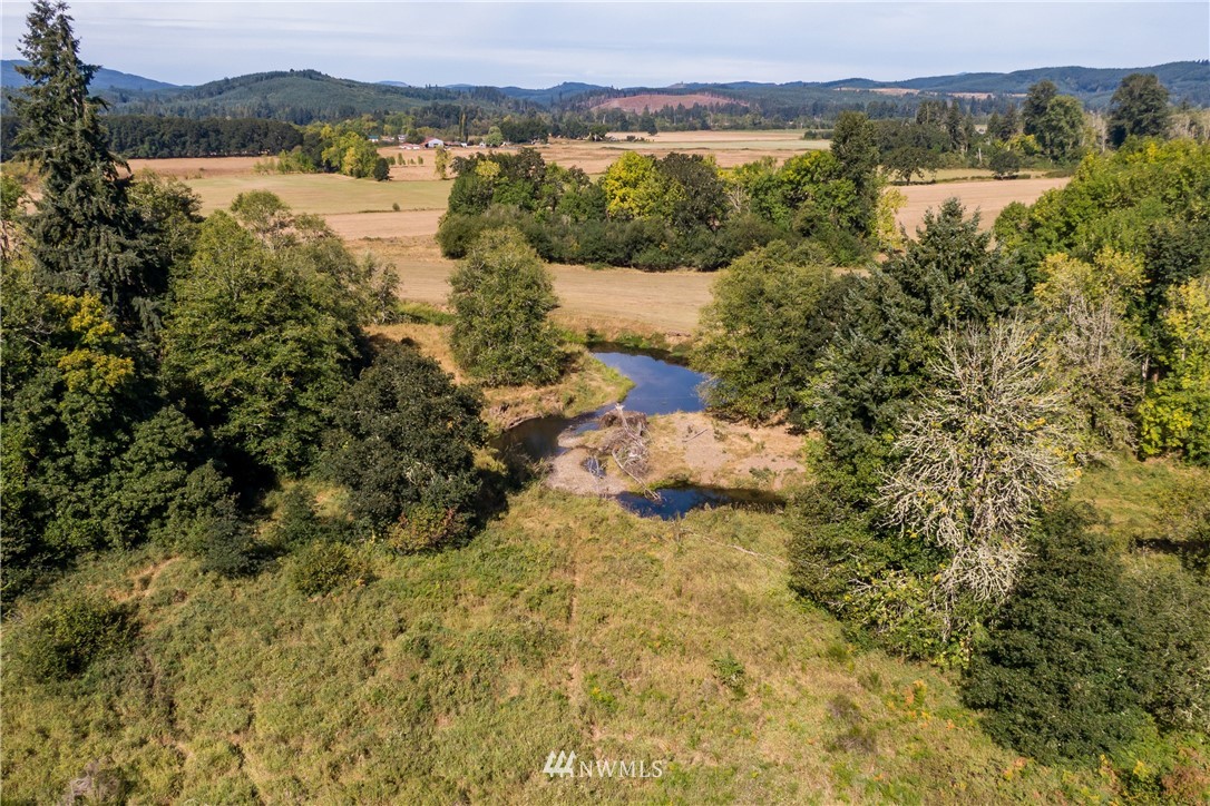 32600 Kahout Road Curtis, WA 98538 - Photo 17 of 21