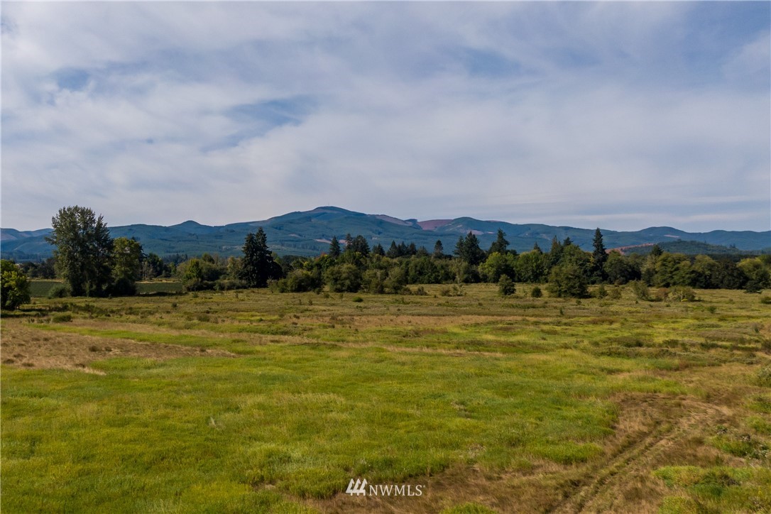 32600 Kahout Road Curtis, WA 98538 - Photo 3 of 21