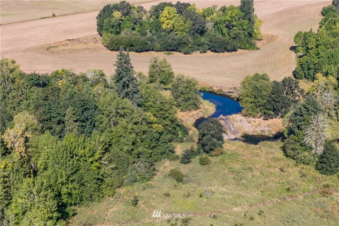 32600 Kahout Road Curtis, WA 98538 - Photo 21 of 21