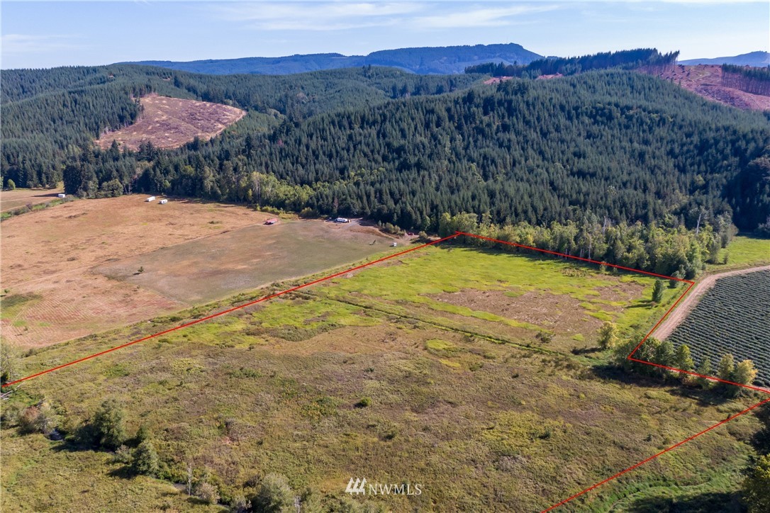 32600 Kahout Road Curtis, WA 98538 - Photo 4 of 21