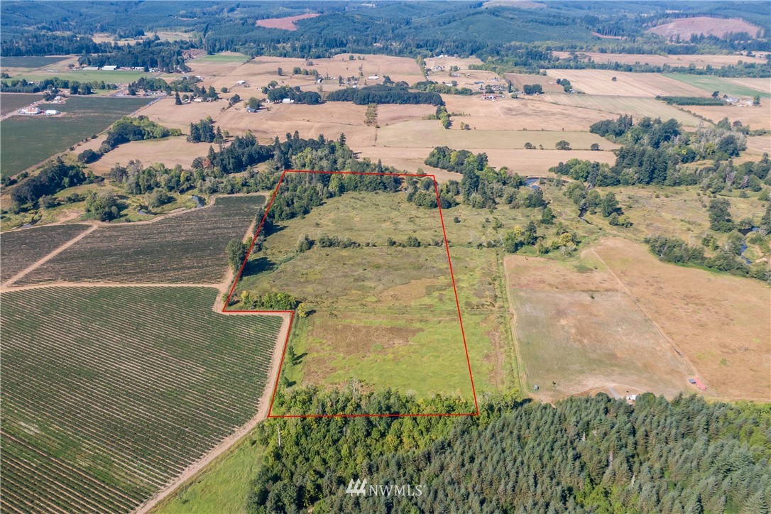 32600 Kahout Road Curtis, WA 98538 - Photo 5 of 21
