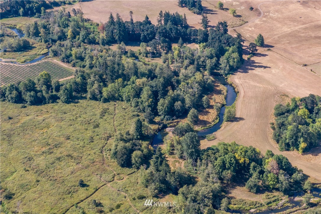 32600 Kahout Road Curtis, WA 98538 - Photo 8 of 21