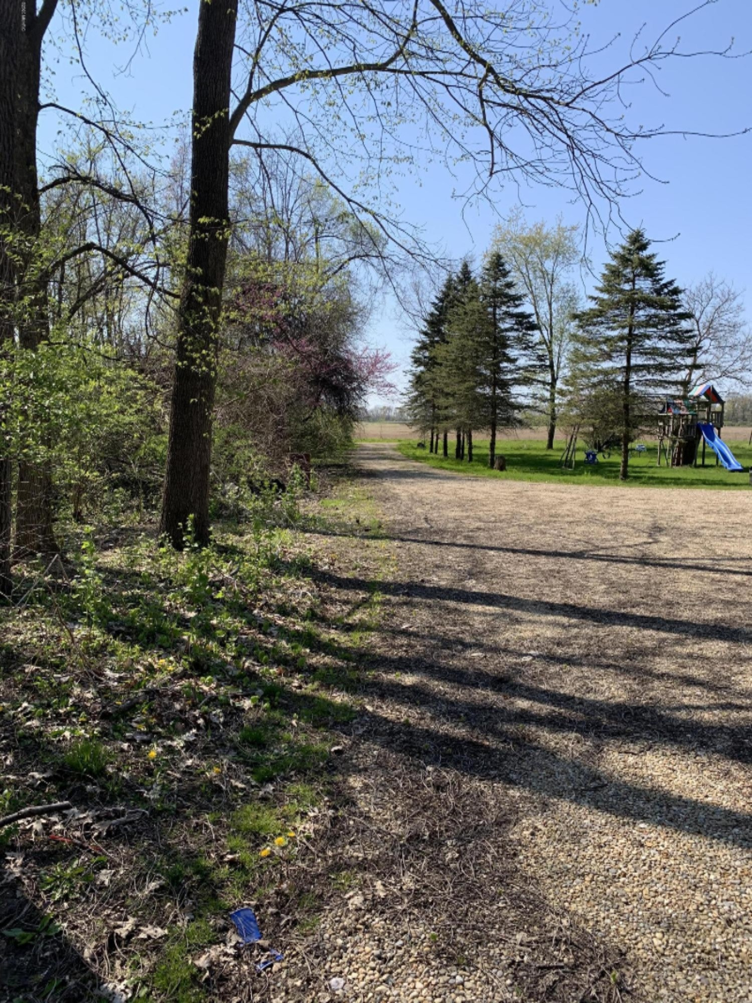 2624 East Riverside Road Buchanan, MI 49107 - Photo 3 of 16 View towards road