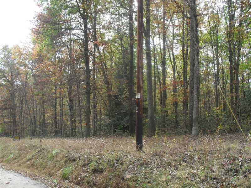 Back Road Confluence, PA 15424 - Photo 2 of 24 Land.