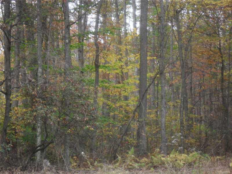 Back Road Confluence, PA 15424 - Photo 14 of 24 Land.